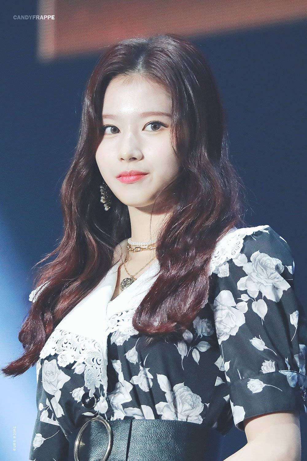 주말에 보는 사나.jpgif | 인스티즈