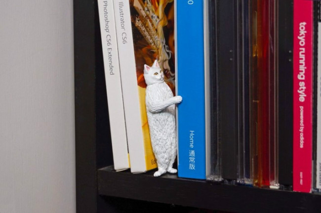 냥이들 깨우는 방법 | 인스티즈