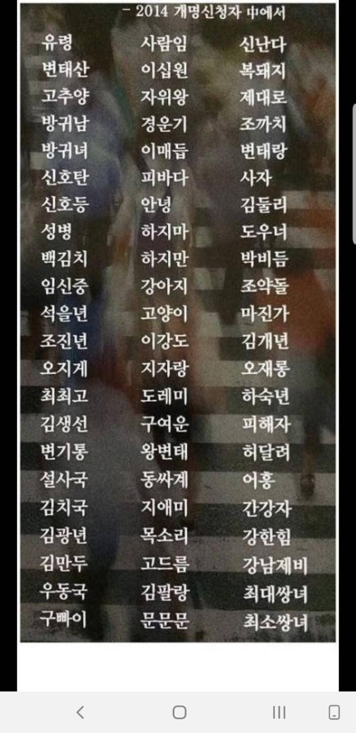 2014년 개명신청자 명단.jpg | 인스티즈