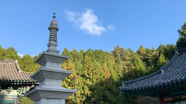 굴의 계절이 돌아왔습니다 ㅣ통영 토박이 추천 통영 여행지 [국내여행] | 인스티즈