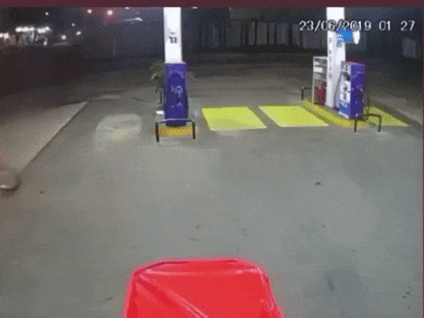 오토바이 쫓는 소.gif | 인스티즈