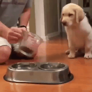 식전 기도.gif | 인스티즈