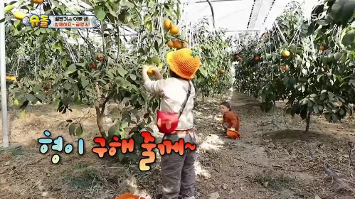 [슈돌] 지난주 벤틀리 귀염폭발한 날(feat.귤토리) | 인스티즈
