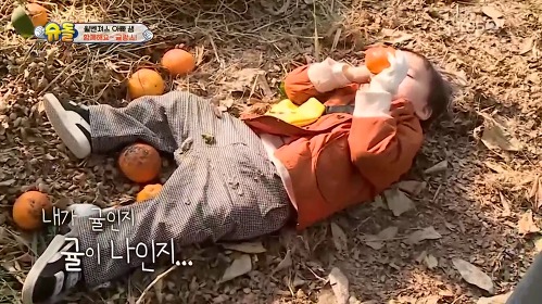 [슈돌] 지난주 벤틀리 귀염폭발한 날(feat.귤토리) | 인스티즈
