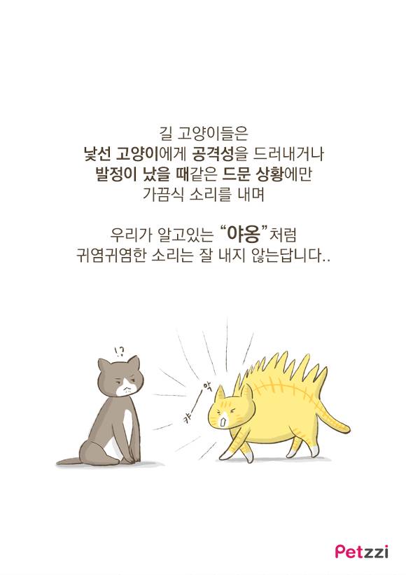 우리집 고양이는 소통왕(만화).jpg | 인스티즈