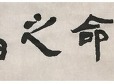 올해의 사자성어 '공명지조'(共命之鳥)…분열한 사회 반영