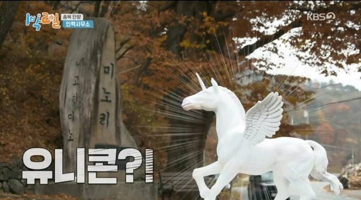 1박2일에 다시 취업한 체험삶의현장 유니콘 | 인스티즈