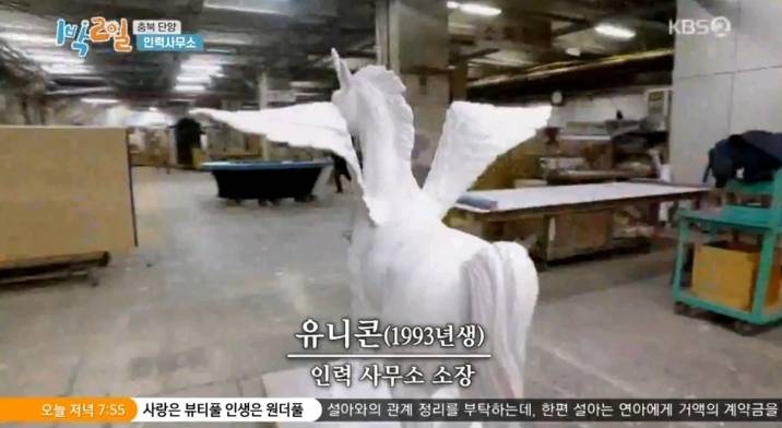 1박2일에 다시 취업한 체험삶의현장 유니콘 | 인스티즈