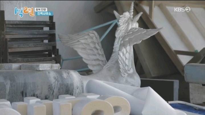 1박2일에 다시 취업한 체험삶의현장 유니콘 | 인스티즈