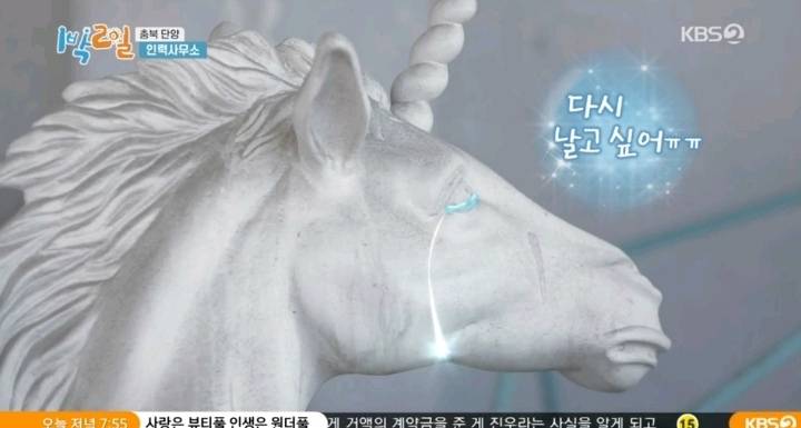 1박2일에 다시 취업한 체험삶의현장 유니콘 | 인스티즈