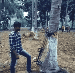 나무타는 기계.gif | 인스티즈