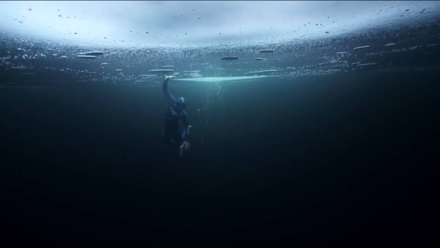 신비한 다이빙의 세계 | 인스티즈