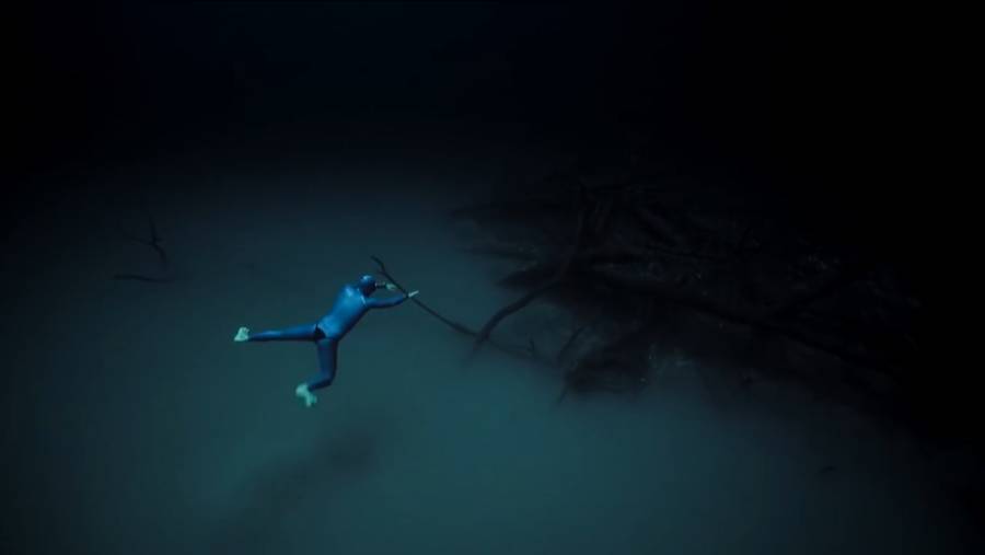 신비한 다이빙의 세계 | 인스티즈