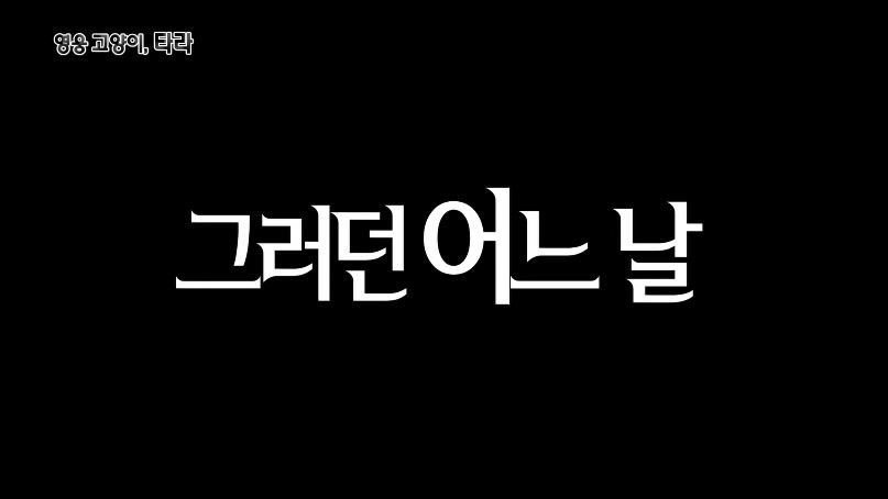 MBC 서프라이즈 명대사 | 인스티즈