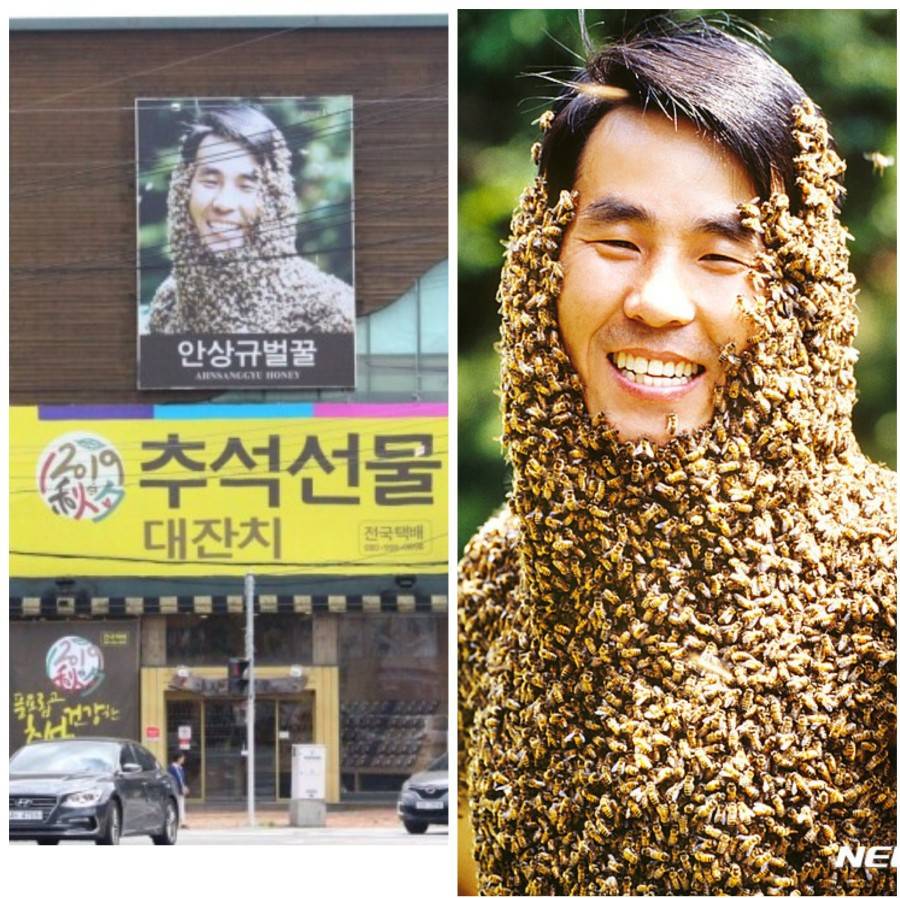 흔한 벌꿀 광고 사진 | 인스티즈