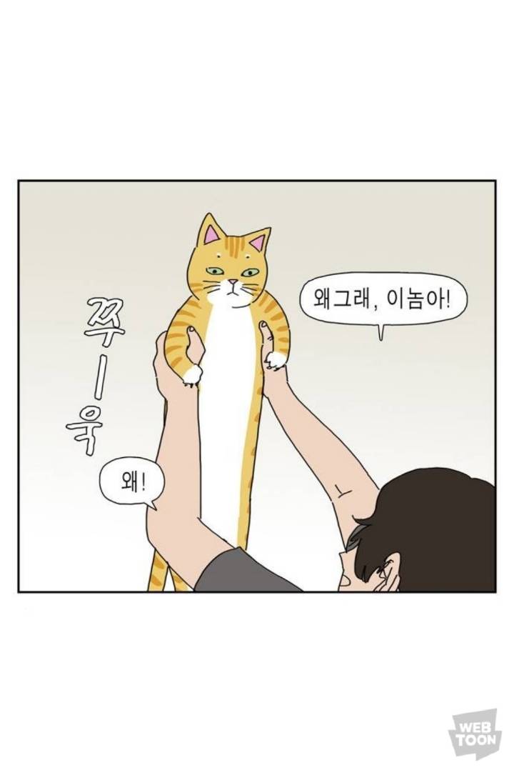 애완동물 키우면 매일 비슷한 시간에 깨는 이유.jpg | 인스티즈