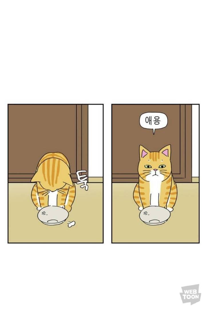 애완동물 키우면 매일 비슷한 시간에 깨는 이유.jpg | 인스티즈