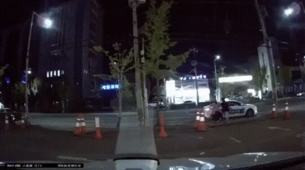 여대생 무단횡단 사망사고 운전자 무죄 판결 (혐오주의) | 인스티즈