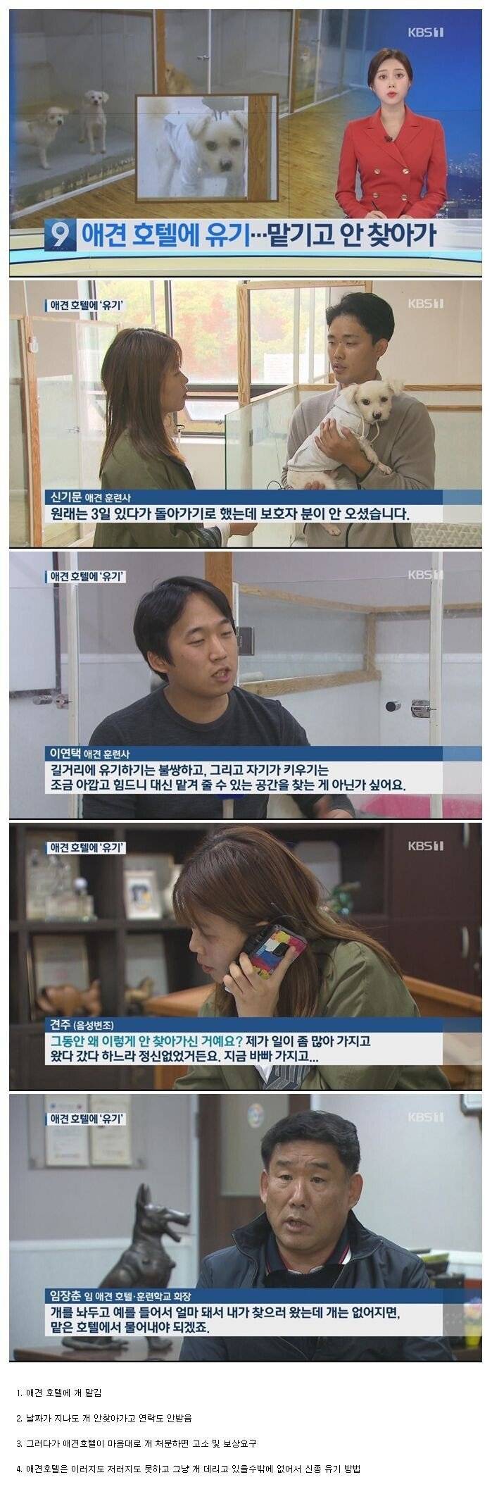 개 분양받는데 시험도입이 필요한 이유 | 인스티즈