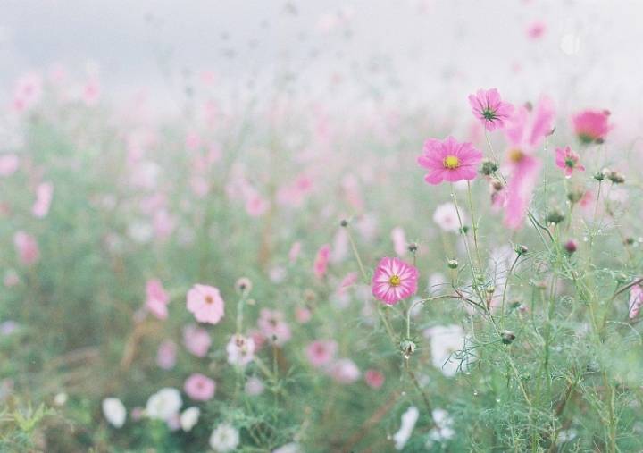 배송비 10만원.jpg | 인스티즈