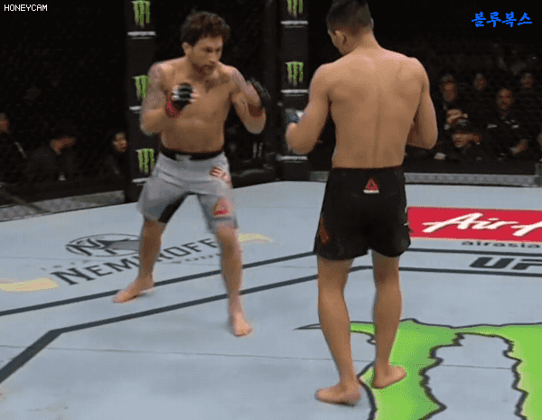 정찬성 경기에도 나타나신... | 인스티즈