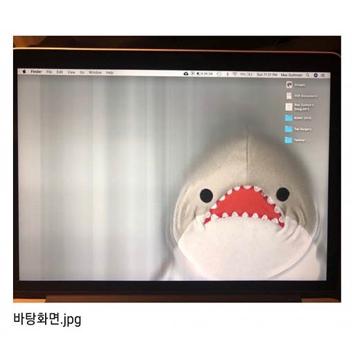복사기에 상어인형을 넣어봄 | 인스티즈