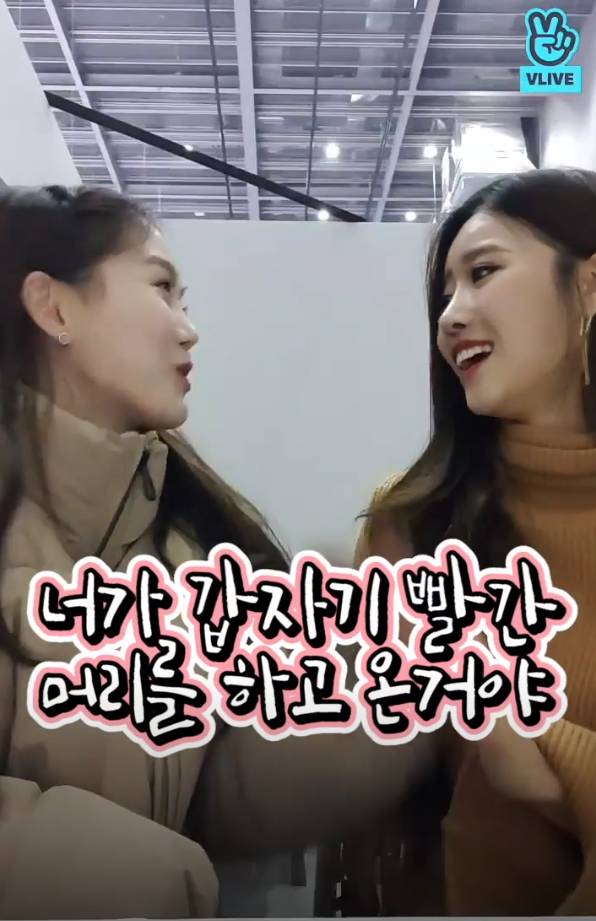 오마이걸 효정 : 야 이미주 너 왜 자꾸 내 머리 따라하니?? .jpg | 인스티즈