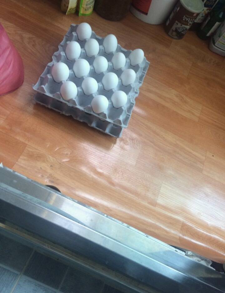 집앞 양계장 때문에 생긴 고민 ㅋ | 인스티즈