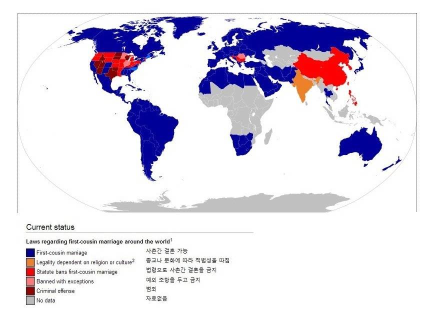 사촌간 결혼 가능 국가들 | 인스티즈