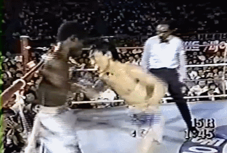 최종라운드에 15연타 소나기펀치를 퍼붓는 체력.gif | 인스티즈