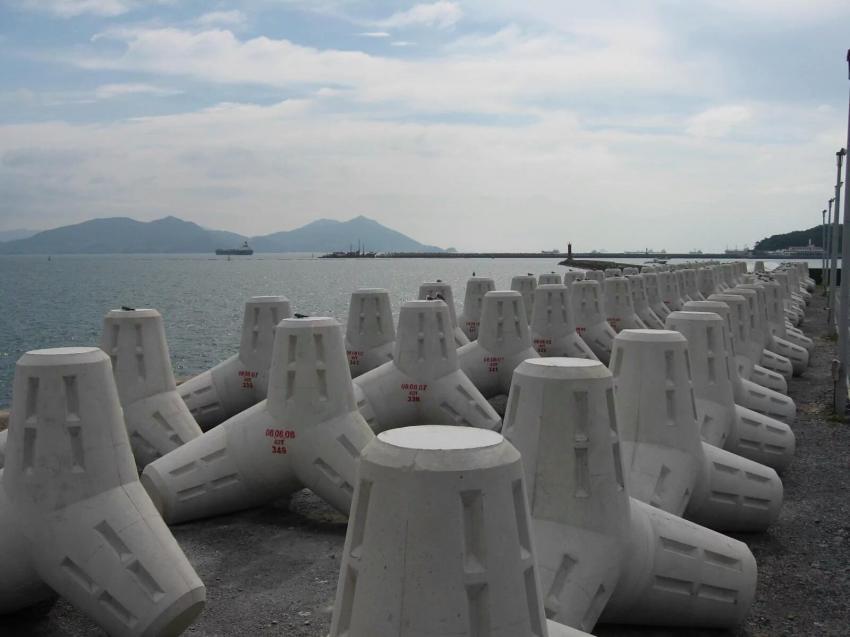 생각보다 닮았음 | 인스티즈