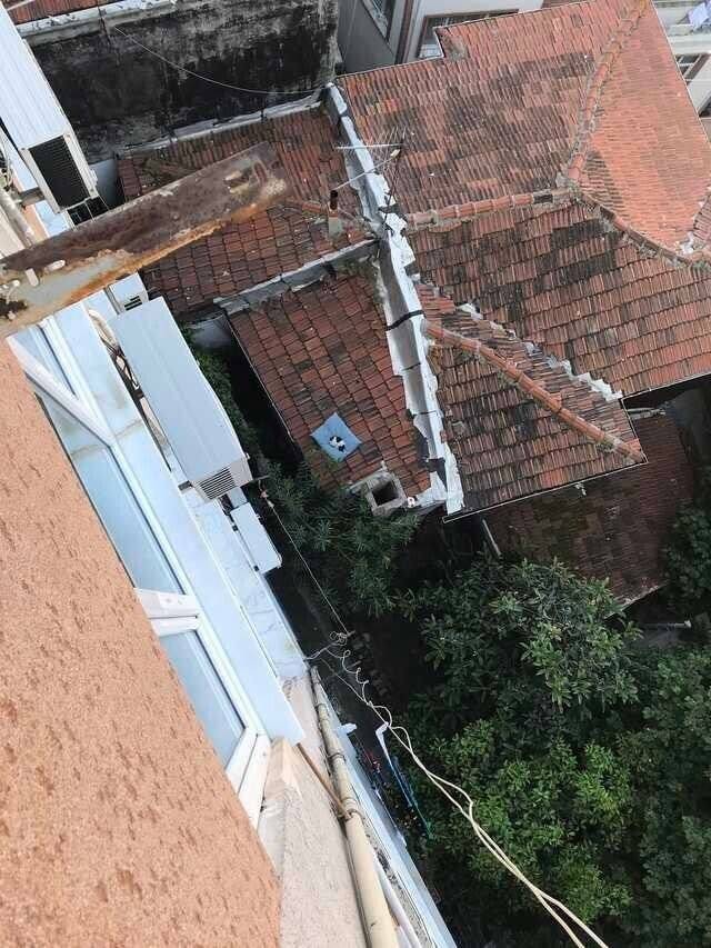 며칠전에 떨어트린 우리집 강아지 베개가 새주인을 만났어.jpg | 인스티즈