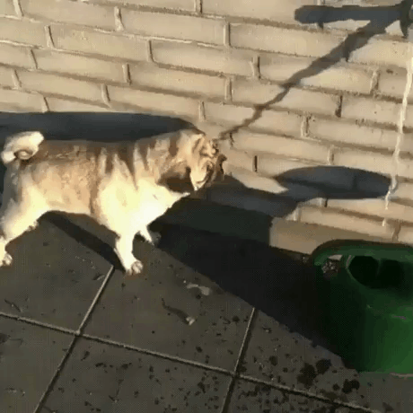 물 마시는데 목이 마르네.gif | 인스티즈