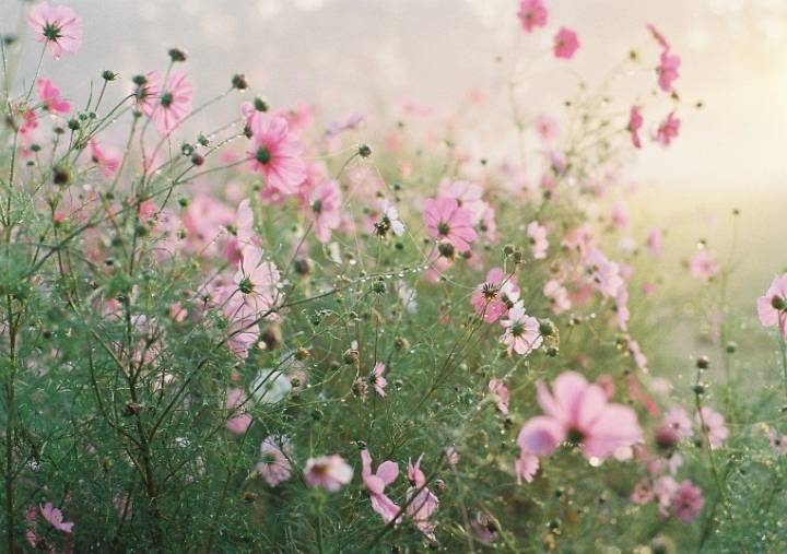 배송비 10만원.jpg | 인스티즈