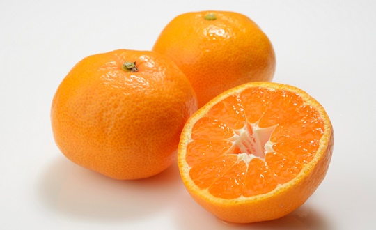 "나한테 치즈 등심 돈까스보다 중요한 존재는 있을 수 없어...” | 인스티즈