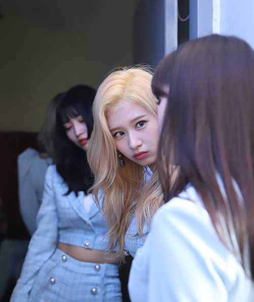 무대에서 춤출때가 제일 섹시한 내 자.기. 미나토자키 사나 | 인스티즈