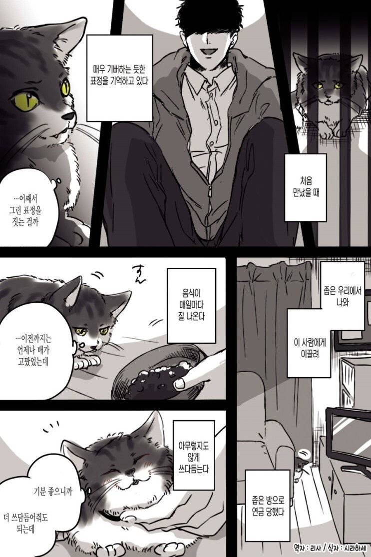 고양이와 집사.manhwa | 인스티즈