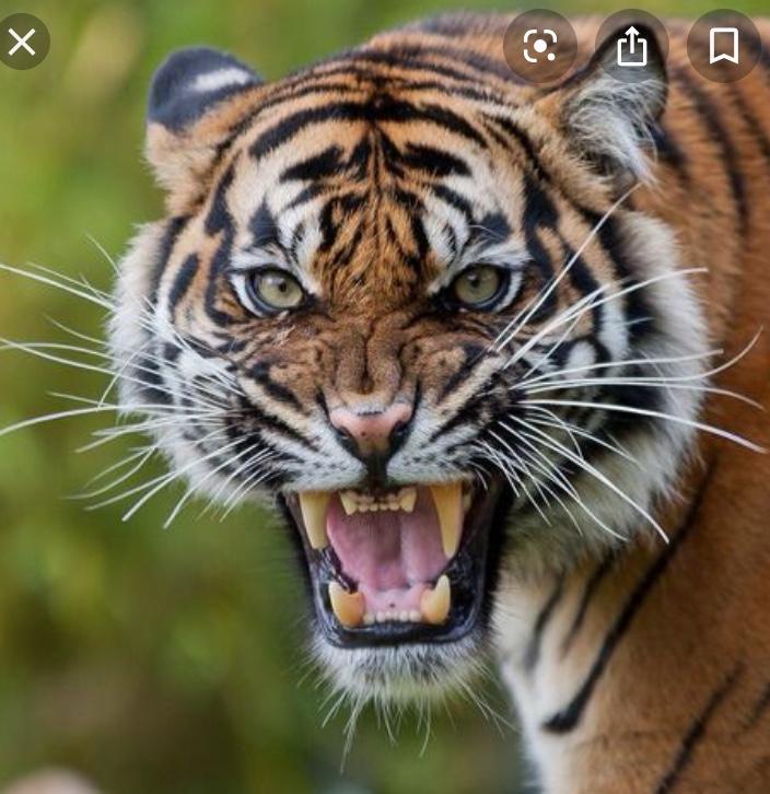 이 둘중에 하나와 꼭 싸워야 한다면? | 인스티즈