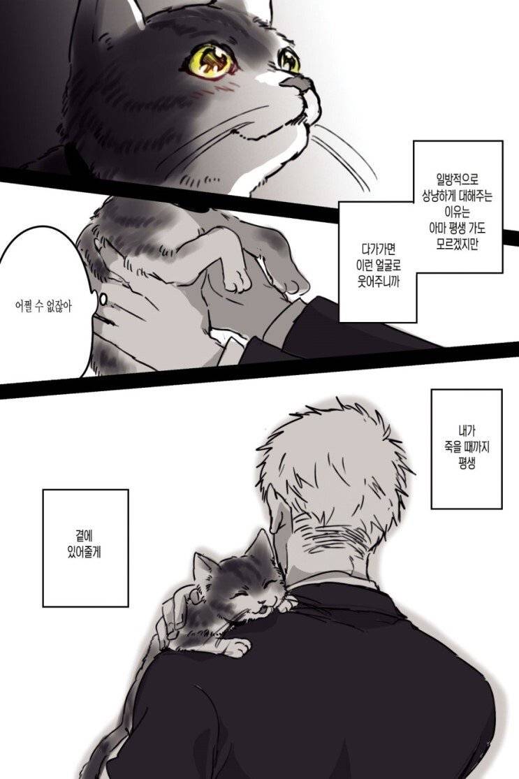 고양이와 집사.manhwa | 인스티즈