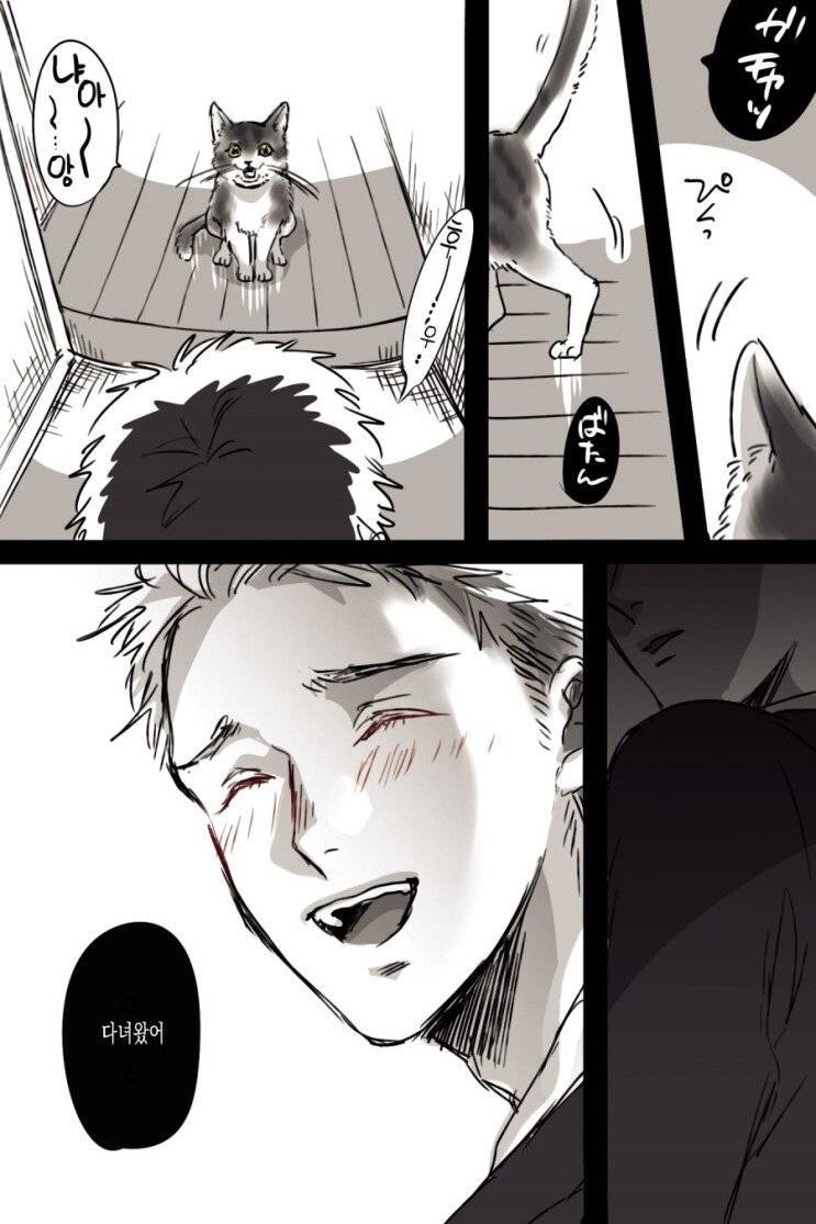 고양이와 집사.manhwa | 인스티즈