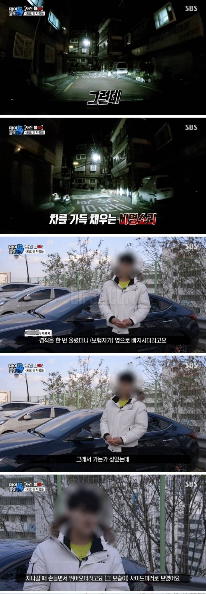 골목길에서 만난 도라이.jpgif | 인스티즈