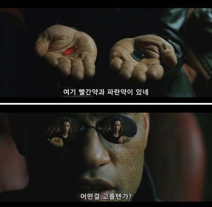 매트릭스 세계에서 살기 vs 현실에서 이대로 살기 | 인스티즈