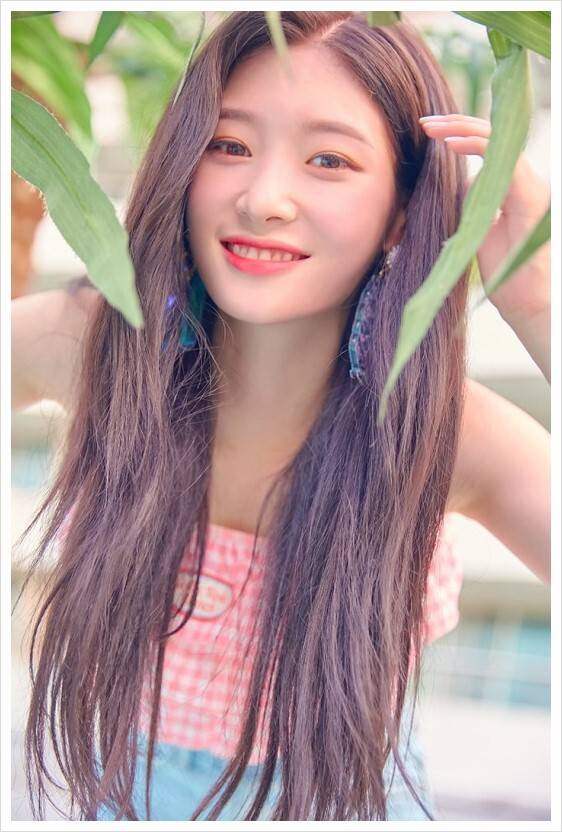 다이아 우우 정채연 .jpggif | 인스티즈