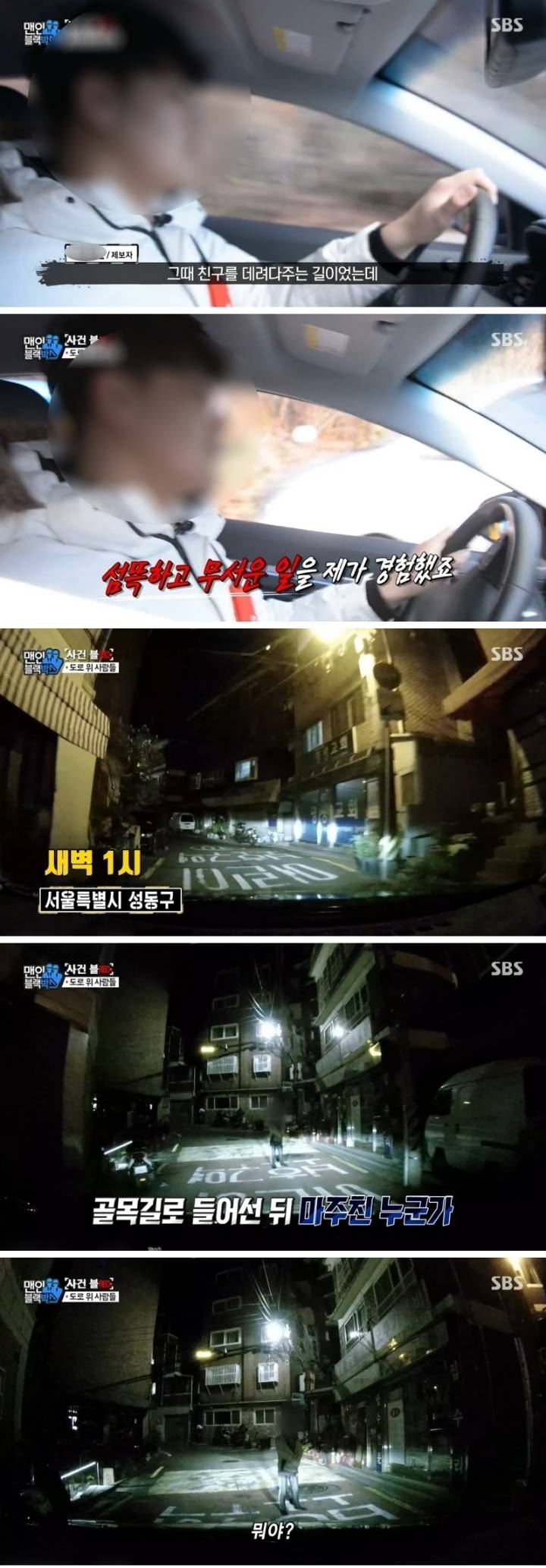 골목길에서 만난 도라이.jpgif | 인스티즈