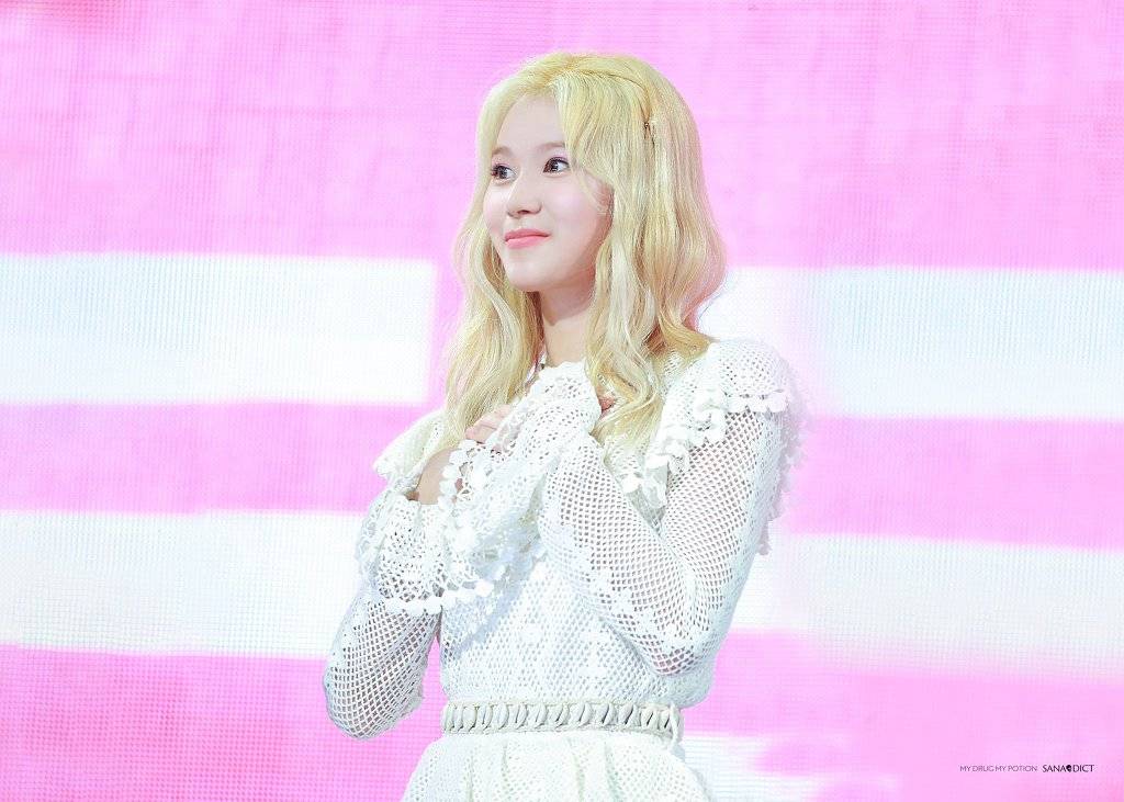 무대에서 춤출때가 제일 섹시한 내 자.기. 미나토자키 사나 | 인스티즈