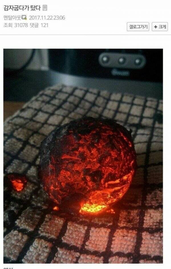 감자를 기가막히게 굽는 디씨인 | 인스티즈