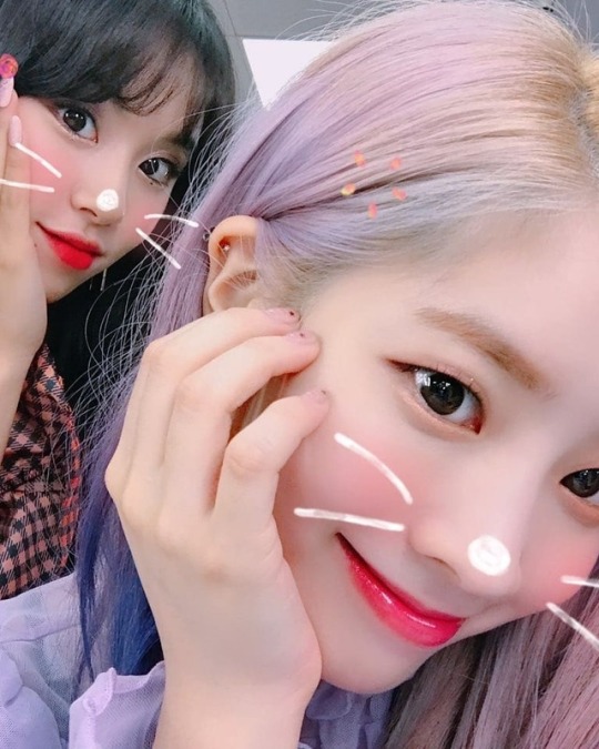 트와이스 채영, 다현 | 인스티즈