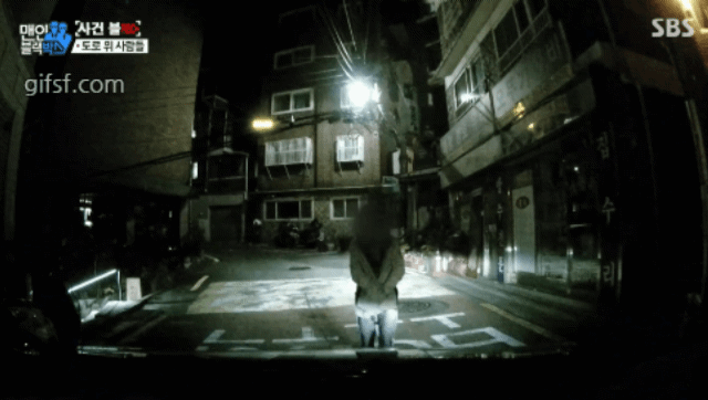 골목길에서 만난 도라이.jpgif | 인스티즈