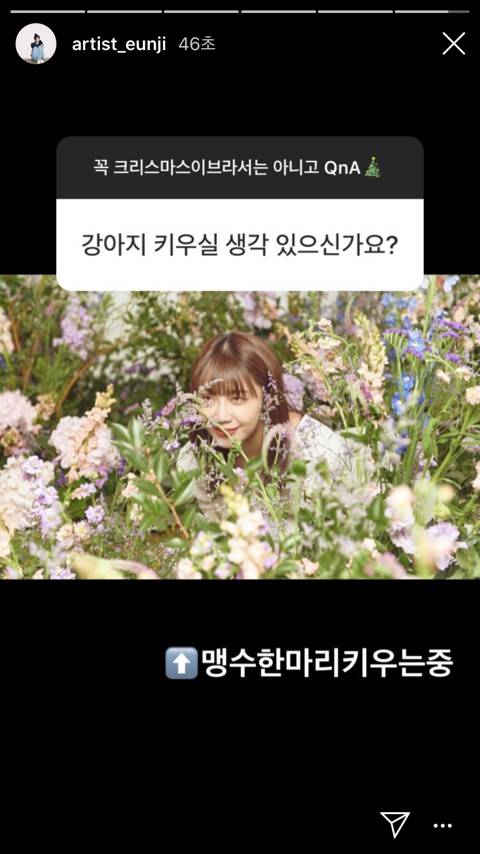 맹수 한마리 키우는 중인 에이핑크 정은지.jpg | 인스티즈