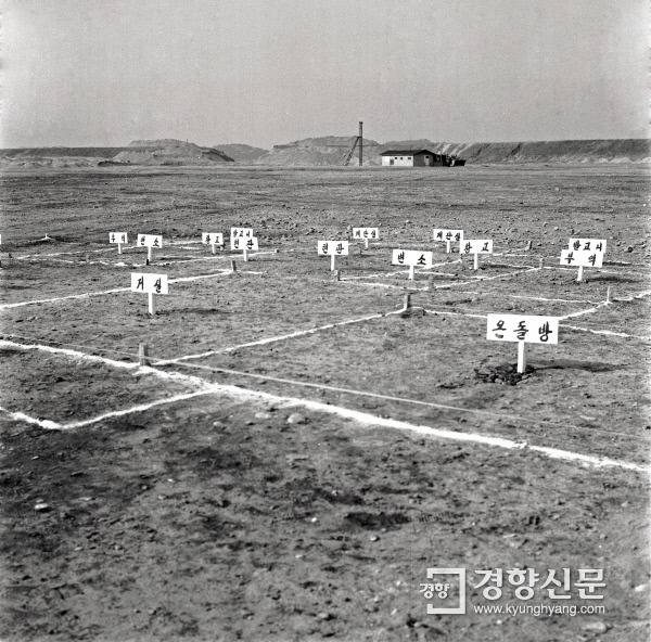 1975년 모델하우스 | 인스티즈